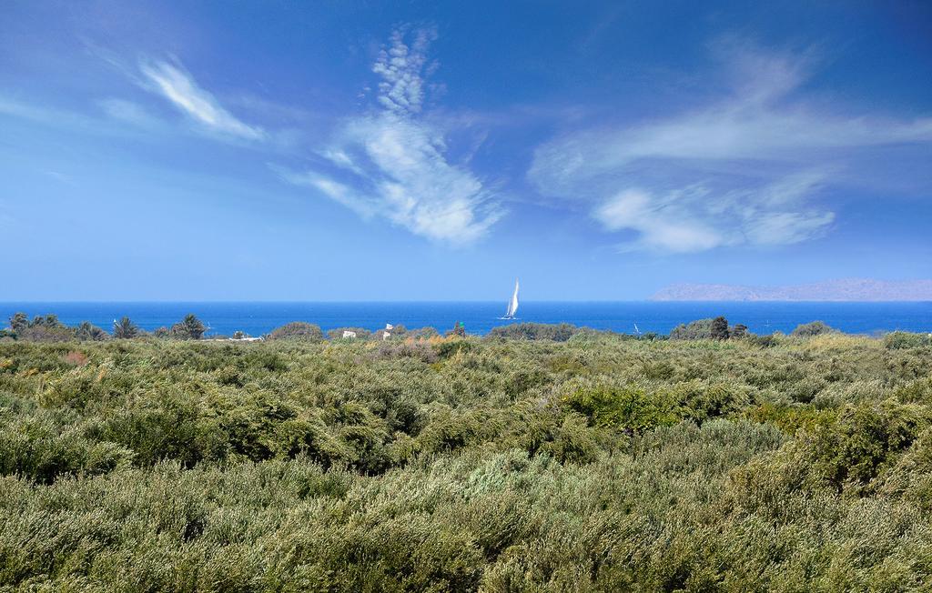 Olive Coast Suites Palekastro Exterior foto